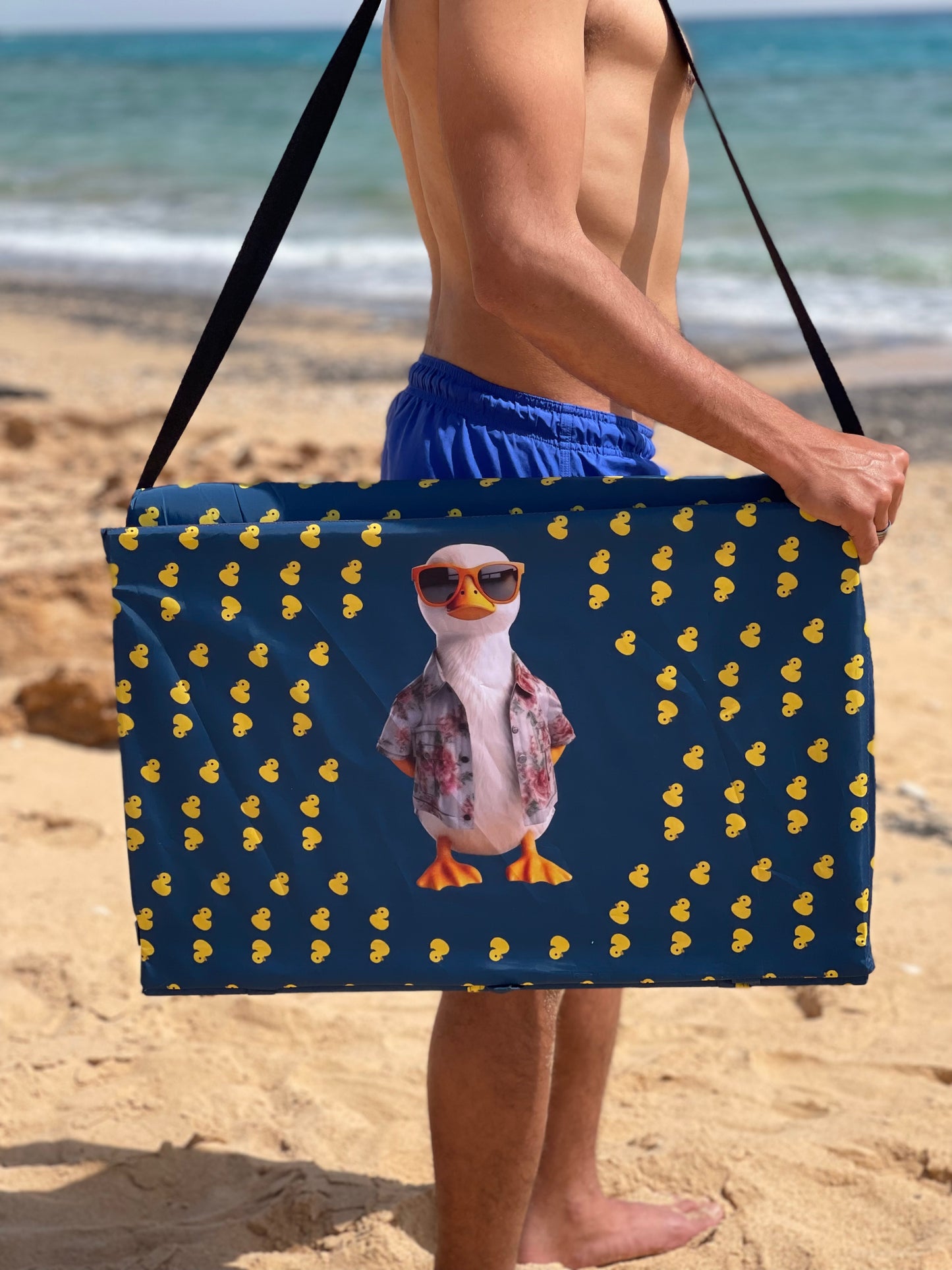 Duck-Beach Lounger