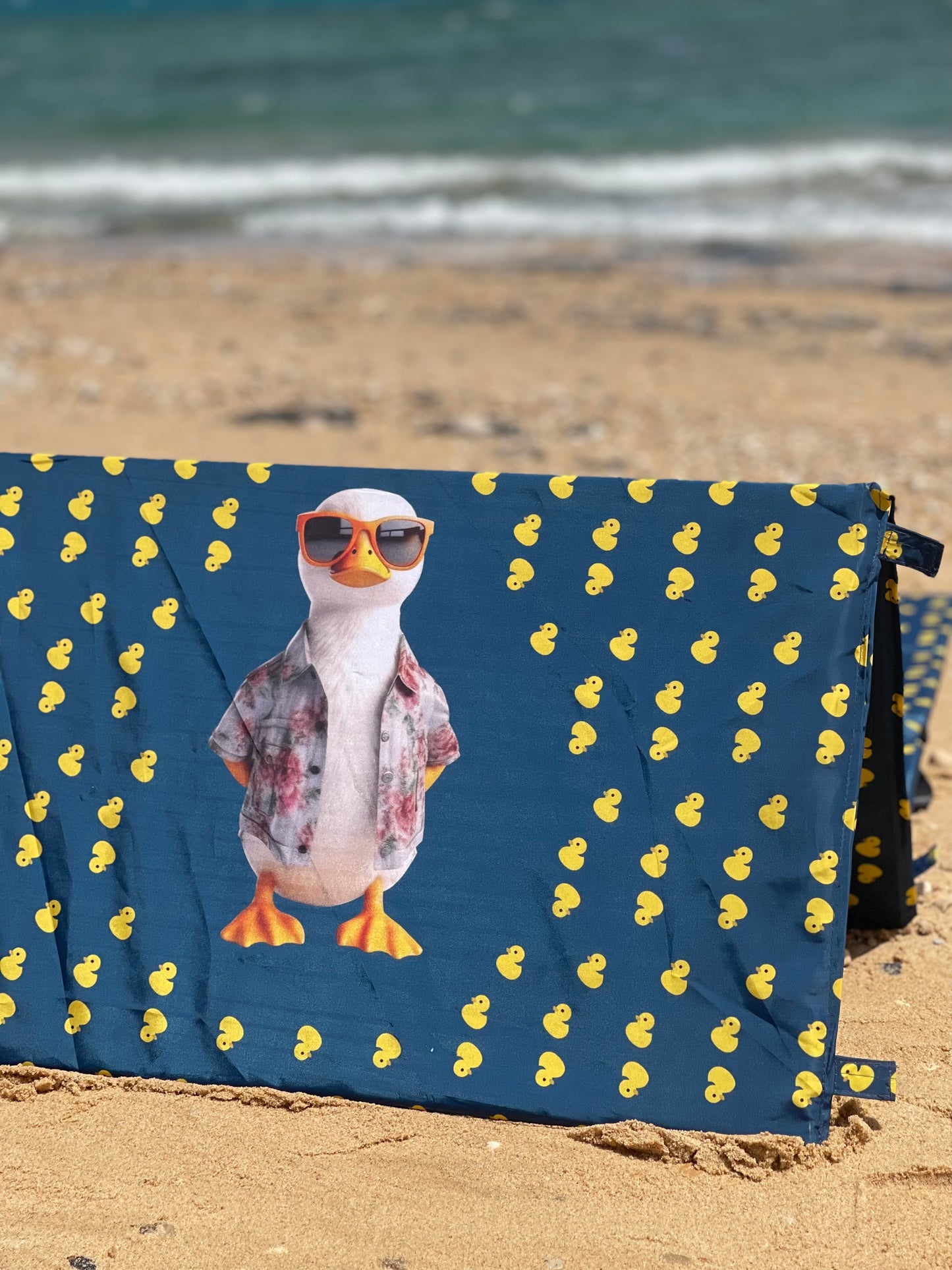 Duck-Beach Lounger