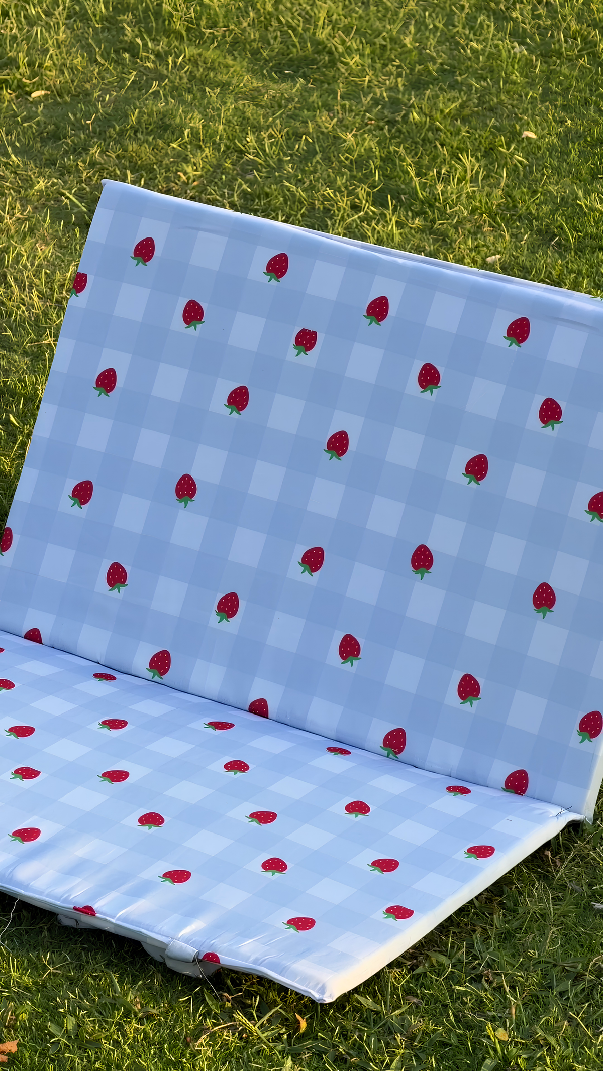 Strawberry Field