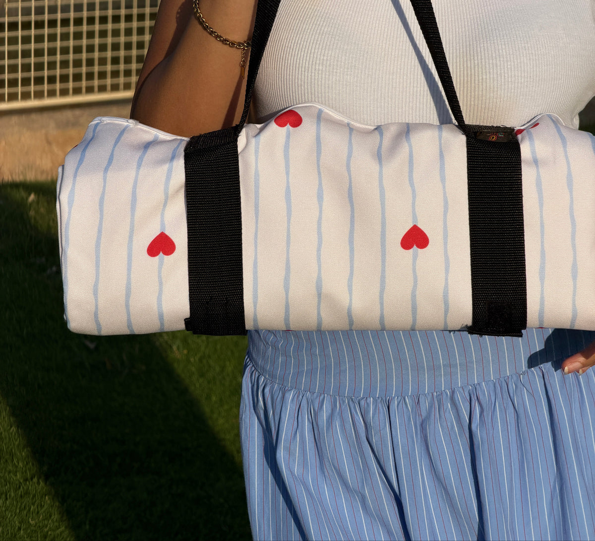Fraise Picnic