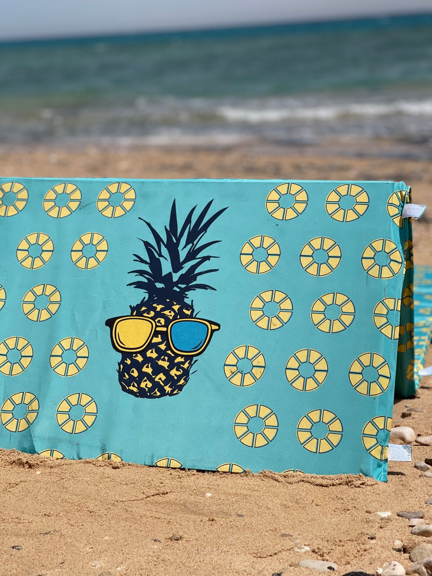 Pineapple-Beach Lounger
